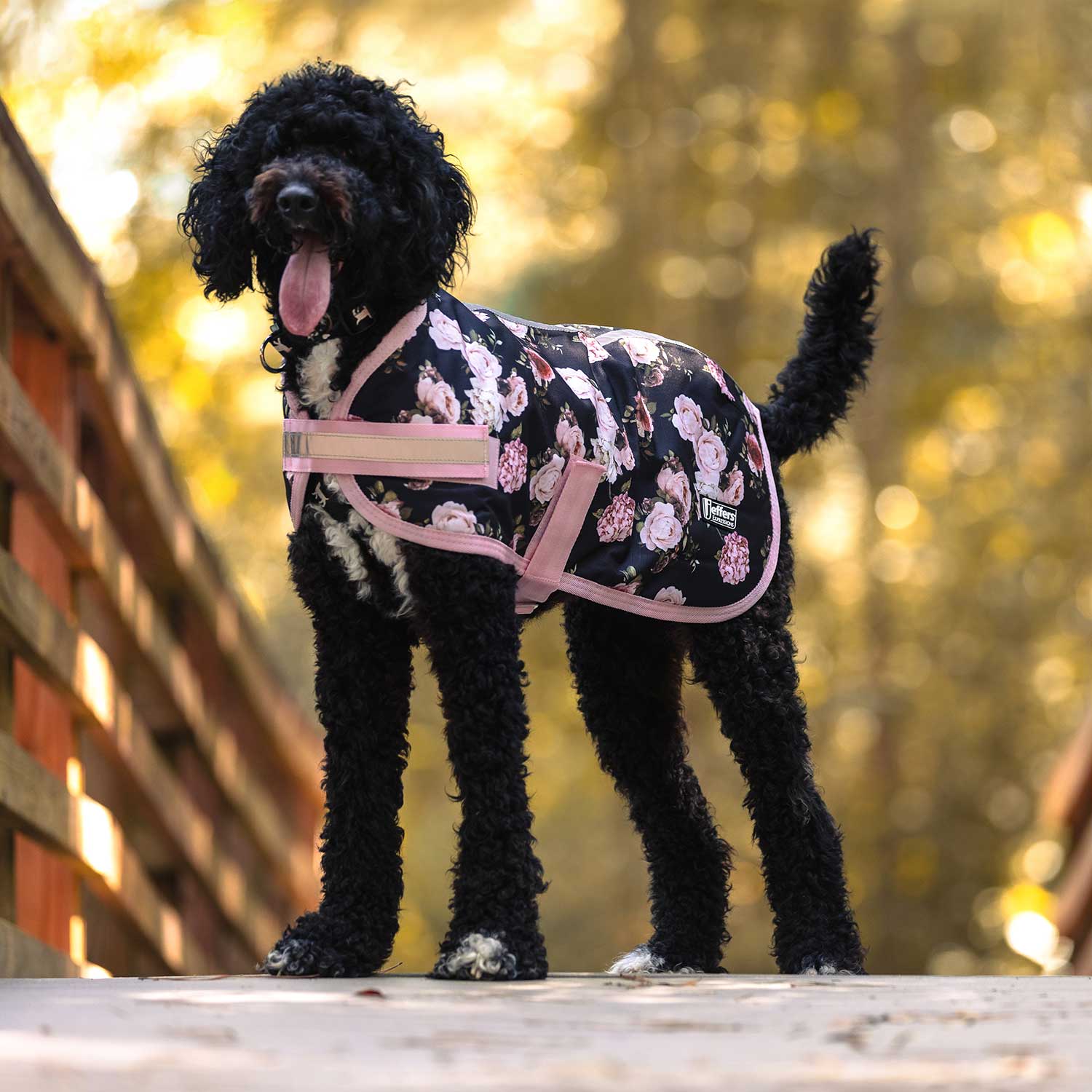 Jeffers Expression 600D Waterproof Ripstop Dog Coat, 240 Gram