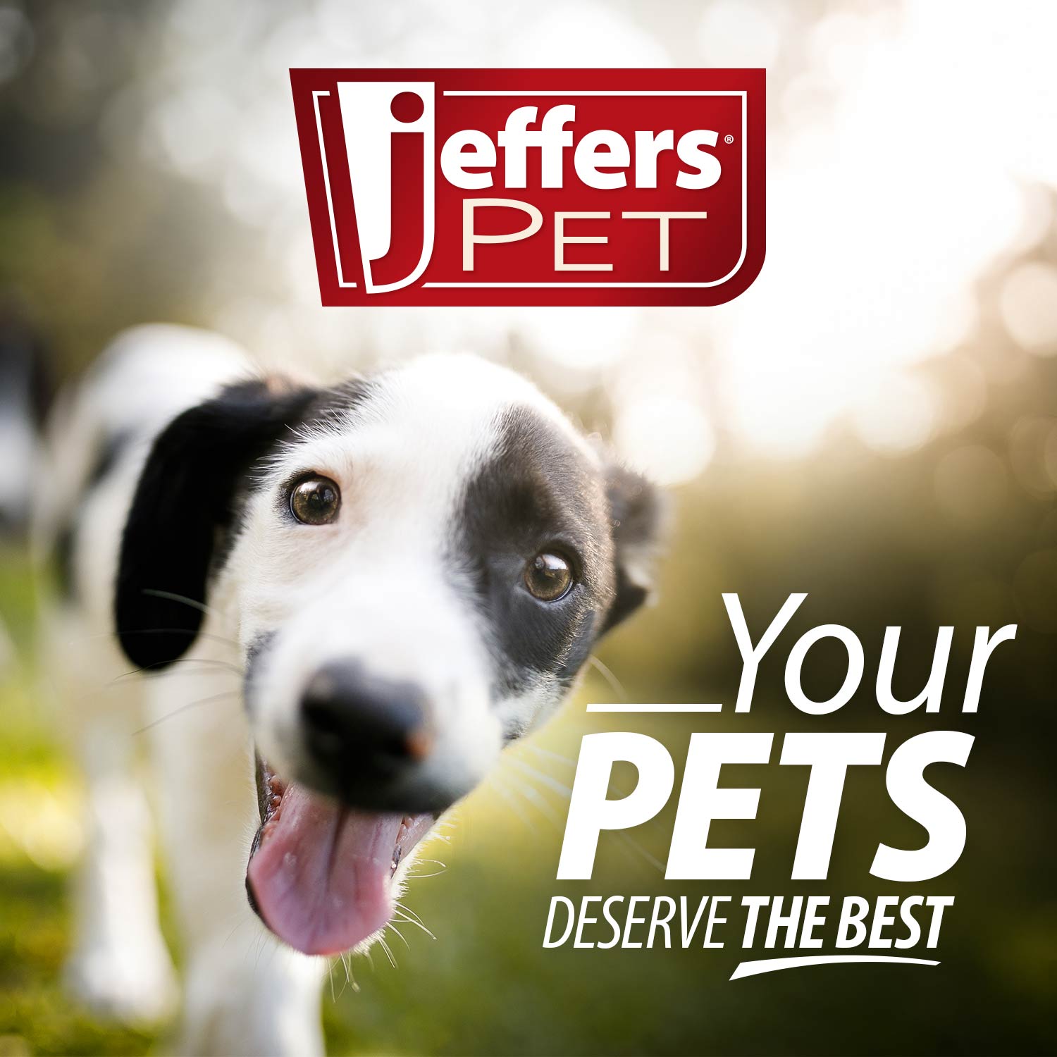 Jeffers Firm Pin Universal Slicker Pet Grooming Brush